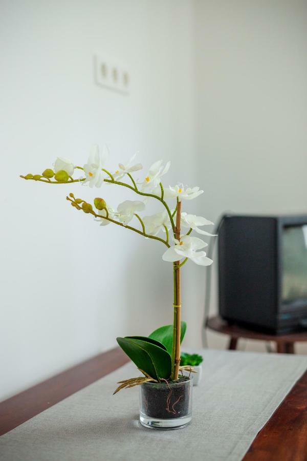 Viragos Vendeghaz Apartment เคสเท ภายนอก รูปภาพ